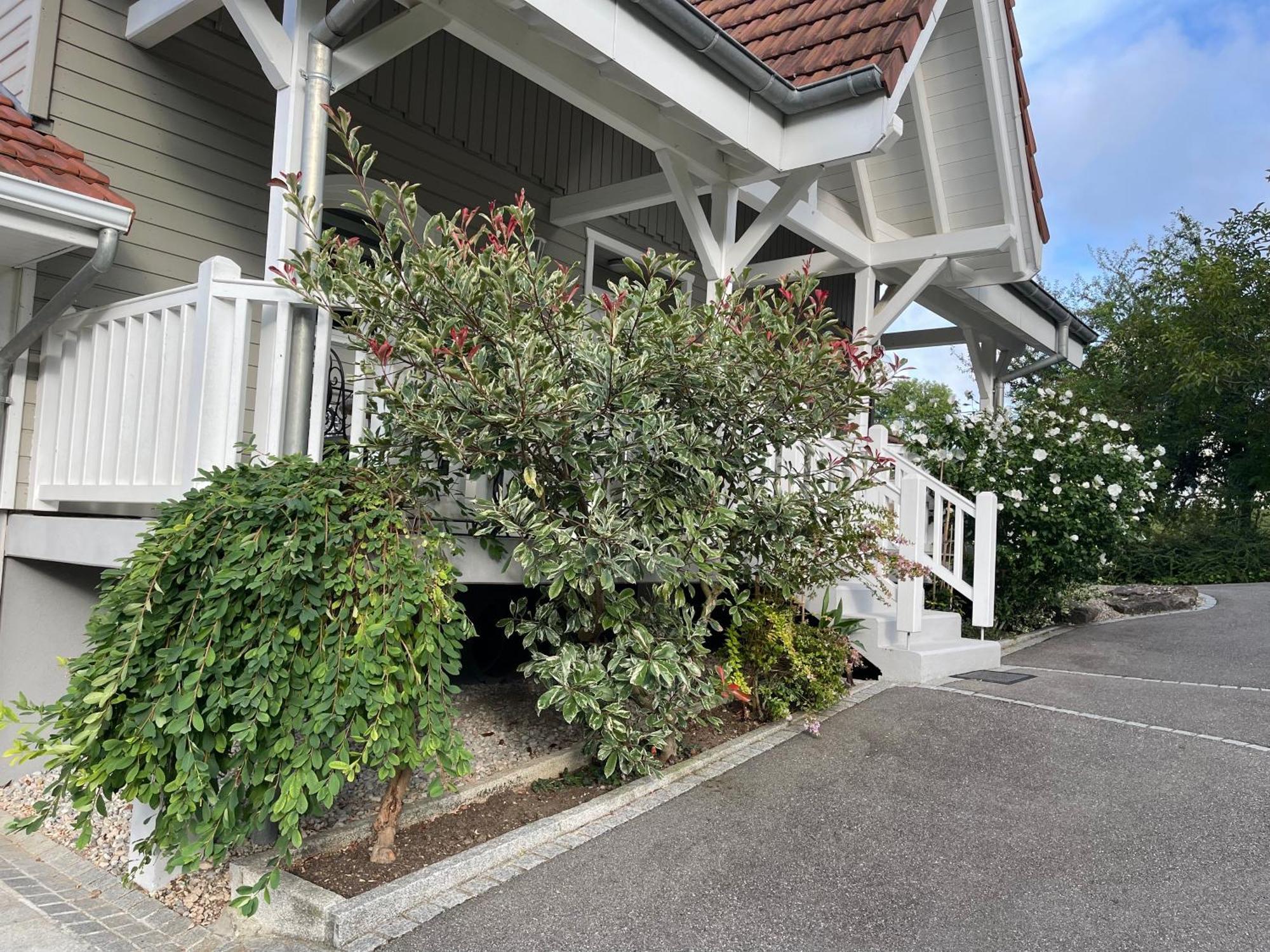 Tulipes Et Cetera Hotel Waldighoffen ภายนอก รูปภาพ